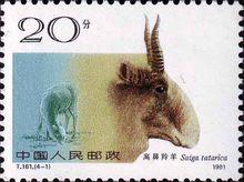 高鼻羚羊郵票