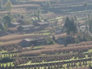 閘塘邊自然村 閘塘邊自然村