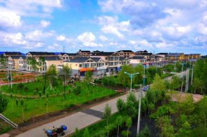 西江農場 西江農場