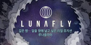 Fly To Love Fly To Love