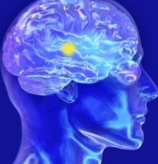 腦脊膜瘤 腦脊膜瘤