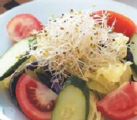 什錦蔬菜沙拉佐優酪汁