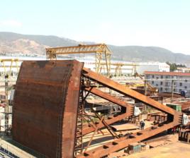 舌瓣閘門 舌瓣閘門