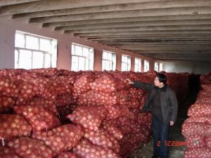 齊齊哈爾市梅里斯達斡爾族區 齊齊哈爾市梅里斯達斡爾族區