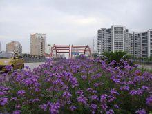 奧運火炬傳遞—瑞金站