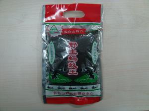 野生螞蟻王 野生螞蟻王