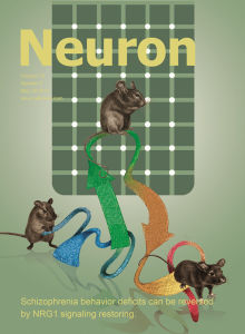 Neuron2013年第4期