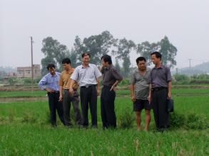 白坭嶺村 白坭嶺村