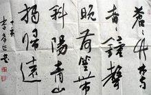 李孝正[偃師市書法家協會副主席]