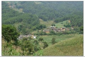 桃箐中自然村 桃箐中自然村