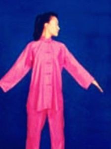 五勞七傷 五勞七傷