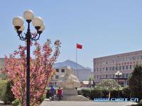 朝陽市衛生學校 朝陽市衛生學校