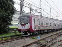 一列DKZ31型電力動車組