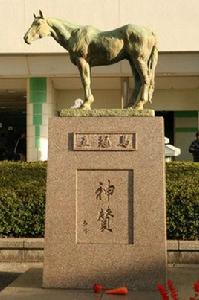 日本中央競馬會殿堂馬 日本中央競馬會殿堂馬