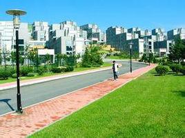 大連東軟信息學院日語系 大連東軟信息學院日語系