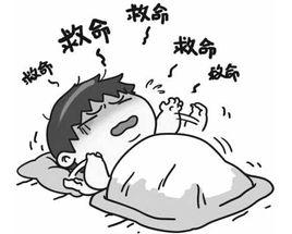 夢中夢[詞語釋義]