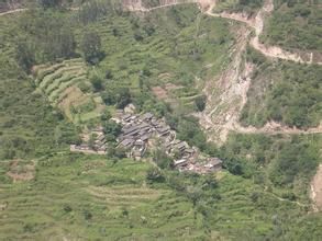 下井村委會 下井村委會