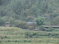 早一期村 早一期村