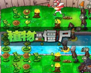植物大戰殭屍2010年度版修改器 植物大戰殭屍2010年度版修改器