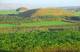 西漢帝陵 西漢帝陵