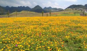 野玉海國際旅遊度假區