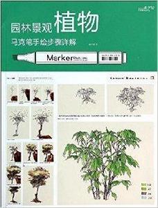 園林景觀植物馬克筆手繪步驟詳解 園林景觀植物馬克筆手繪步驟詳解