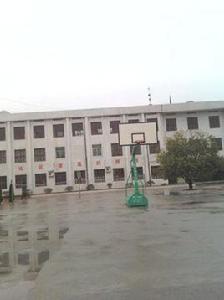 羅坪中心學校 羅坪中心學校