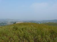 寧遠鎮[黑龍江省哈爾濱市賓縣寧遠鎮]