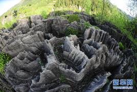 萬木八卦石林 萬木八卦石林