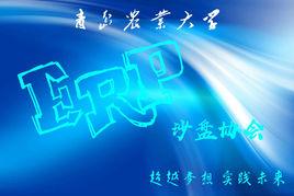 青島農業大學ERP沙盤協會 青島農業大學ERP沙盤協會