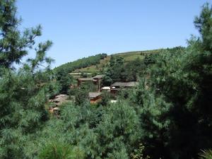 七柏沖村 七柏沖村