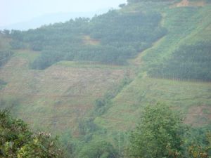 下牛耕自然村 下牛耕自然村