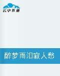 醉夢雨淚寂人愁 醉夢雨淚寂人愁