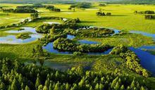 南瓮河島狀大濕地