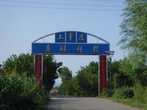 上辛莊村 上辛莊村