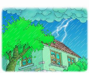 柔道致治 草木舒展之象　遇困可解之意