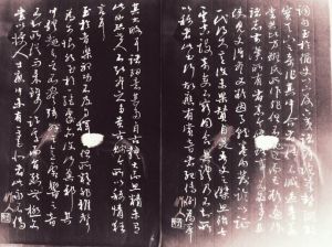 獄中與諸甥侄書 獄中與諸甥侄書