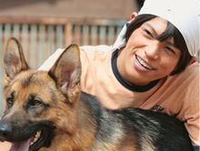 『きな子～見習い警察犬の物語～』