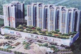 鶴山廣場 鶴山廣場