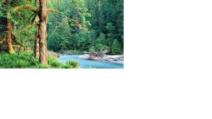 土地嶺森林公園