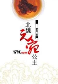 北魏元宛公主 北魏元宛公主