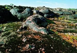 黑龍江五大連池國家地質公園 