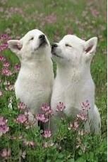 壁紙可愛 壁紙可愛