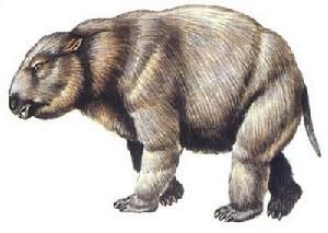 雙門齒獸 雙門齒獸