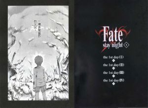 fate stay night