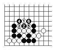 烏龜不出頭 烏龜不出頭