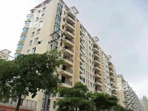 大同中心國小 大同中心國小