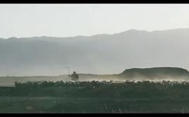 芨芨草[2007年黃堅執導電影]