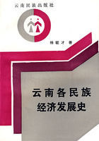 雲南各民族經濟發展史