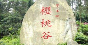 金土地櫻桃谷 金土地櫻桃谷